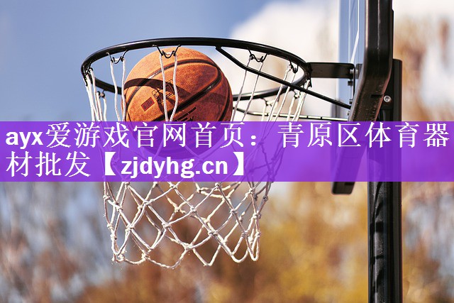 青原区体育器材批发