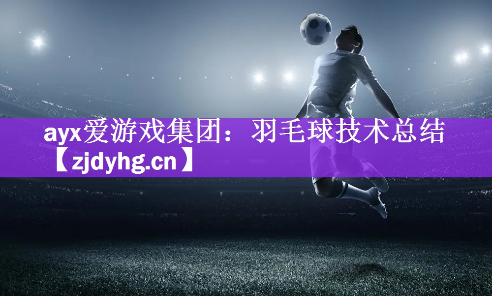 羽毛球技术总结